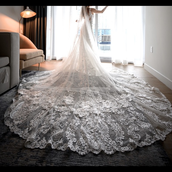 Beautiful like new used dress with matching long veil